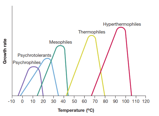Temperature and bacteria
