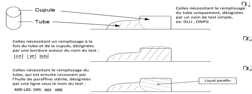 réaliser API 20E 