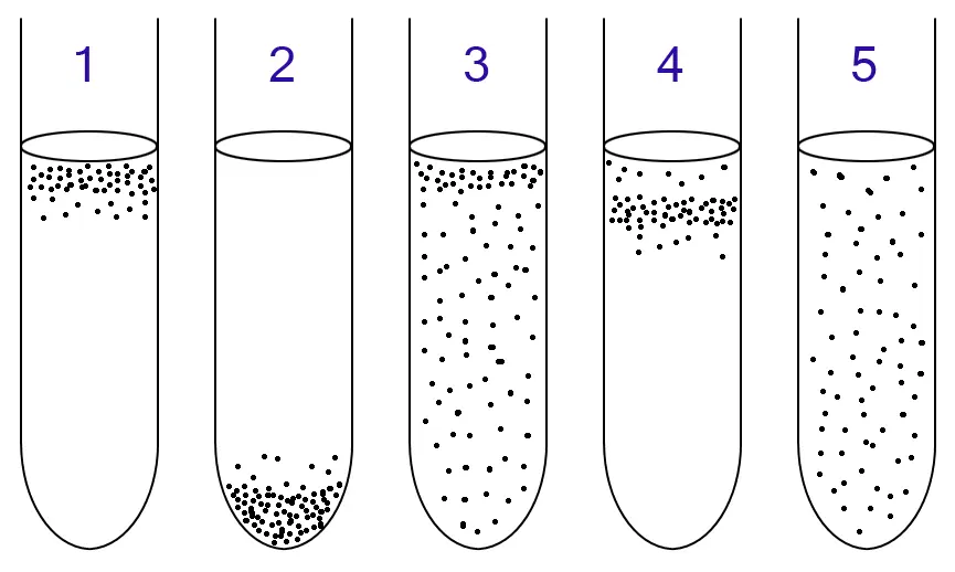 Thioglycolate broth 