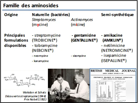 Aminosides classification