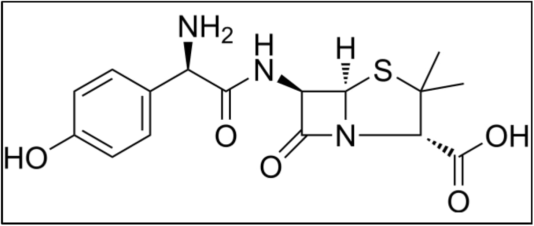 Structure chimique de l'antibiotique amoxicilline