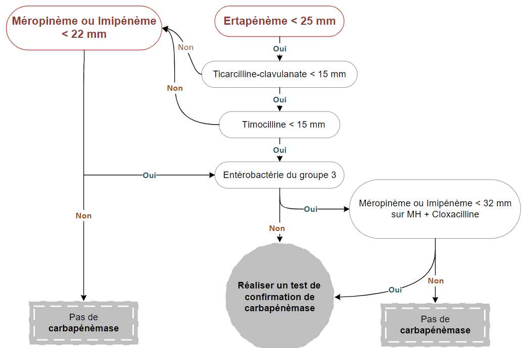 Algorithme phénotypique de criblage des souches d’Enterobacterales productrices de carbapénémases (Source : CA-SFM / EUCAST 2021)