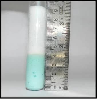 catalase test mycobacterium tuberculosis