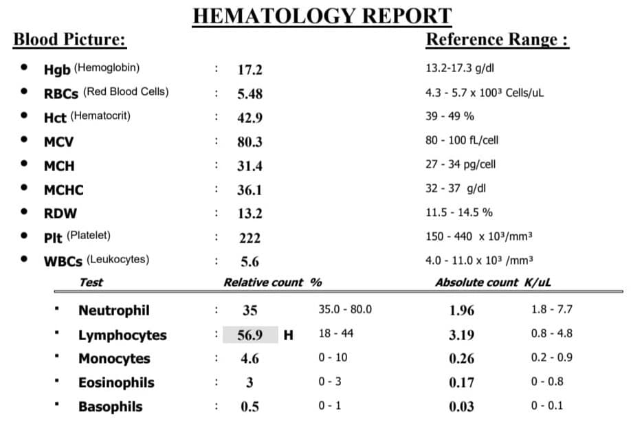 example of CBC blood test results