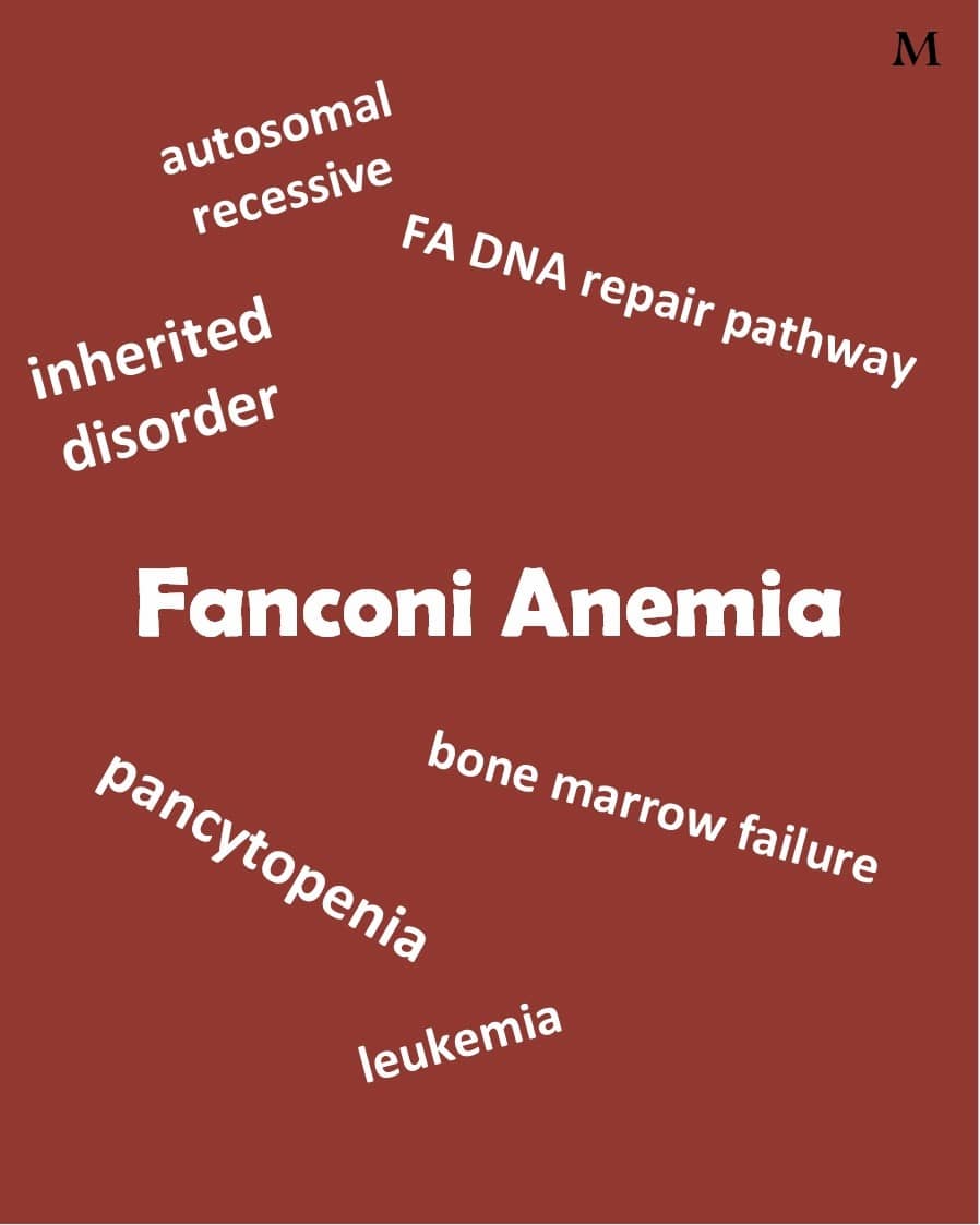 fanconi-anemia