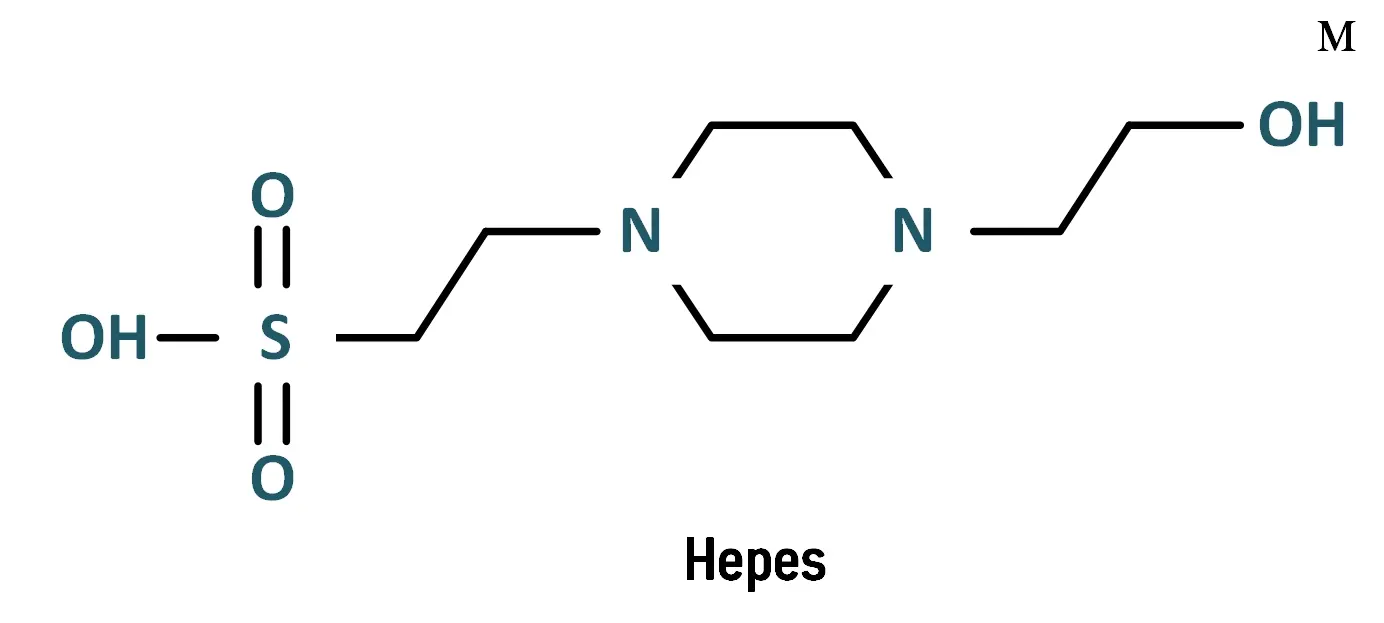 Tampon Hepes