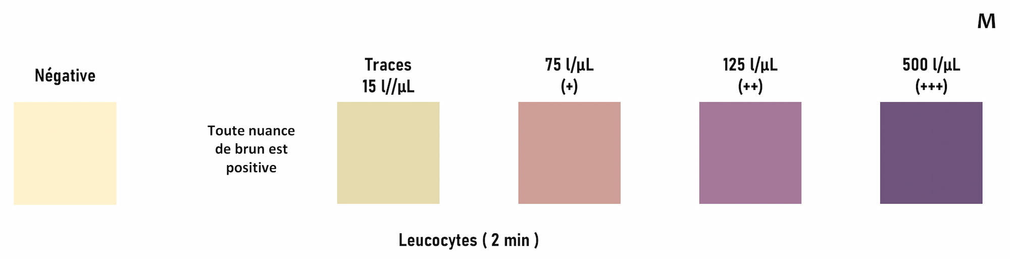 Leucocyturie par bandelette