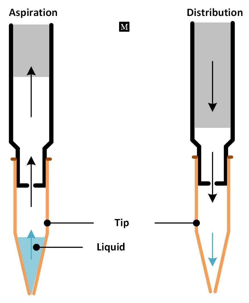  Micropipette à déplacement d'air    