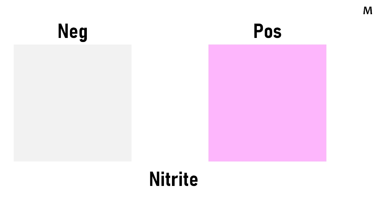 Urinary nitrites by  dipstick chart