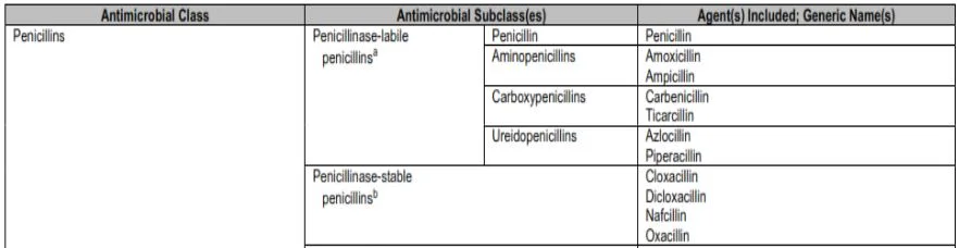 pénicillinase selon CLSI