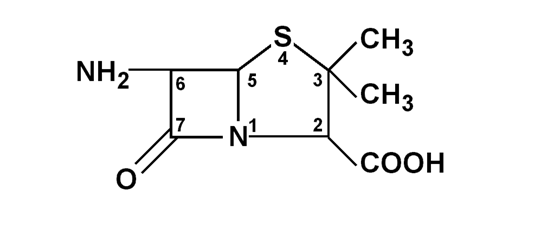 cycle β-lactame