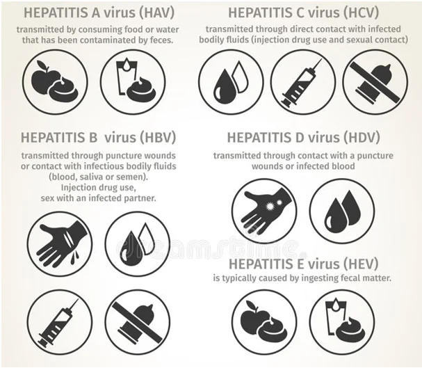 Transmission of hepatitis
